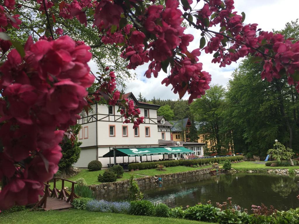 Spa & Wellness Hotel Harmonie Marianske Lazne Exterior photo